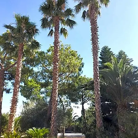 Al Capretto D'oro