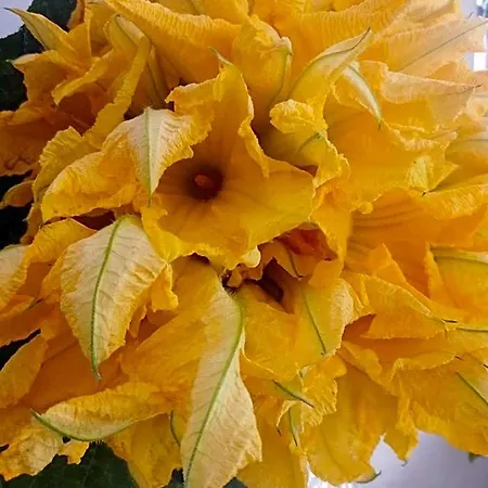 Al Capretto D'oro Talsano